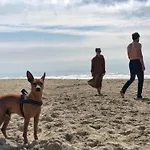 度假居 Studio's De Vlijt Texel *