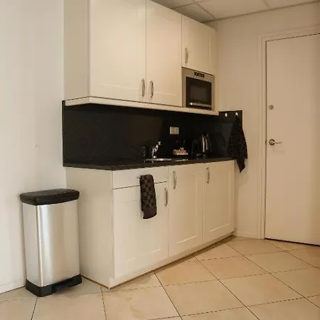 Royal With Terrace Apartment *