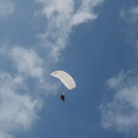 Studio's De Vlijt Texel De Cocksdorp (Texel)