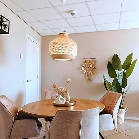 Studio's De Vlijt Texel De Cocksdorp (Texel)